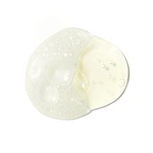 philosophy purity made simple one-step mattifying cleanser 8 oz