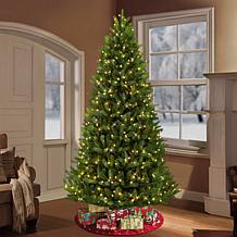 Puleo 9 ft. Pre-Lit Green Mountain Fir Artificial Christmas Tree