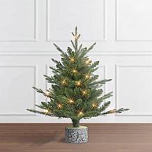 Puleo International 2' B/O Potted Tree w/ 20 Warm White LED Lights
