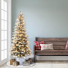 Puleo International 6' Pre-lit Potted Flocked Arctic Fir Tree 
