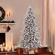 Puleo International 6.5' Pre-Lit Flocked Fir  Christmas Tree