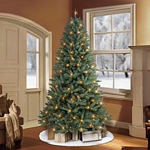 Puleo International 7.5 ft. Pre-Lit Monterey Spruce Tree, 500 Lights