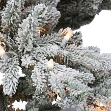 Puleo International 9 ft Pre-lit Utah Fir Tree, 800 UL Clear Lights