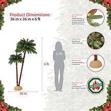 Puleo International Premium 3.5'/6' Artificial Palm Tree w/ 175 Lights