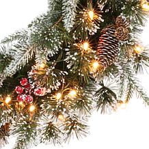 Puleo Intl. Pre-Lit 24" Decorated Christmas Wreath w/ 50 Lights, Green