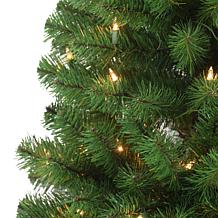 Puleo Intl. Pre-Lit 4.5' Pencil Northern Fir Artificial Christmas Tree