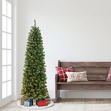 Puleo Intl. Pre-Lit 6.5' Pencil Northern Fir Artificial Christmas Tree