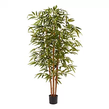 Nearly Natural 5.5 ft. Ficus Tree UV Resistant Indoor/Outdoor Plant - 9310241 | HSN