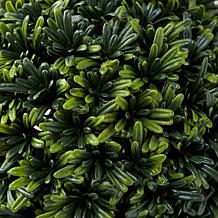 Pure Garden Artificial Podocarpus 36" Double Ball Faux Plant