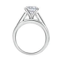 Radiance by Absolute™ 4.8ctw Channel-Set Boxed Bridal Ring 2-piece Set