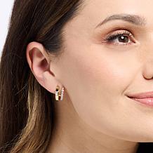 Radiance by Absolute™ Goldtone Sterling Silver CZ Hoop Earrings