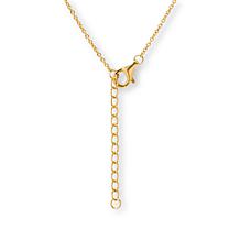 Radiance by Absolute™ Mixed Cut Double Briolette Station Necklace