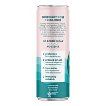 Recoup 12-pack Watermelon Blood Orange Organic Beverage with Ginger AS