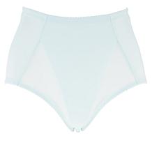 Rhonda Shear 2-pack Mesh Detail Brief