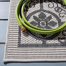 Safavieh Bermuda Cassia 4' x 6' Rug