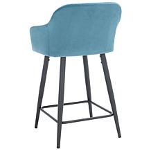 Safavieh Cataleya Counter Stool