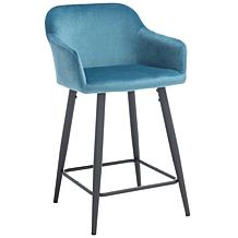 Safavieh Cataleya Counter Stool