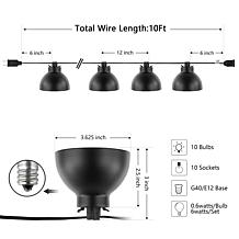 Safavieh Claudie 10-Light Black Outdoor String Light 120"