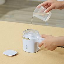 SALAV Quicksteam Travel Steamer, Peri