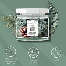 ScentWorx by Slatkin + Co. 2-Pack 14.5 oz. Blue Spruce Candles