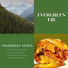 ScentWorx by Slatkin + Co. 2-Pack 14.5 oz. Evergreen Fir Candles