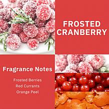 ScentWorx by Slatkin + Co. 2-Pack 14.5 oz. Frosted Cranberry Candles