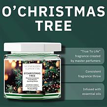ScentWorx by Slatkin + Co. 2-Pack 14.5 oz. O' Christmas Tree Candles