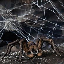 Schleich Wizarding World of Harry Potter: Aragog - Collectible