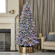 Seasonal LLC Palmetto Flocked 6' Pre-Lit RGBW Christmas Tree
