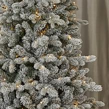 Seasonal LLC Palmetto Flocked 6' Pre-Lit RGBW Christmas Tree