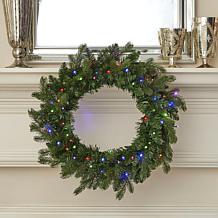 Seasonal LLC Palmetto Pine 24" Lit Green Wreath with Remote Control