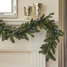 Seasonal LLC Palmetto Pine 6' Pre-Lit RGBW Garland w/Remote Control