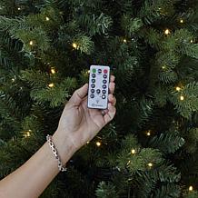 Seasonal LLC Palmetto Pine 6' Pre-Lit RGBW LED Christmas Tree