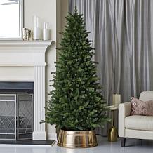 Seasonal LLC Palmetto Pine 6' Pre-Lit RGBW LED Christmas Tree