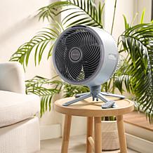 Shark FlexBreeze Indoor/Outdoor Cordless Fan with Car Charger