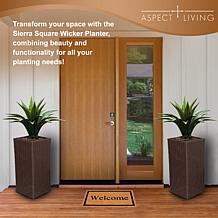 Sierra Square Wicker Planter 2-Pc. Set, Brown