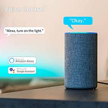 Smart WiFi BR30 E26 Dimmable Flood Light Bulb LB1 - 11W - 2PK