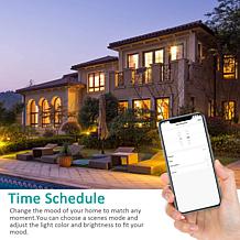 Smart WiFi PAR38 E26 Dimmable Recess Light Bulb LB2 - 6PK