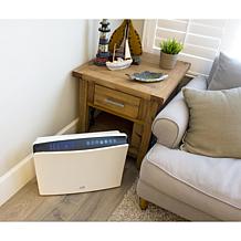 SPT Dual DC Motor Air Cleaner