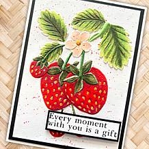 Stamps by Me Fruit Finesse Card Making 22pc Kit with Stamps & Folders