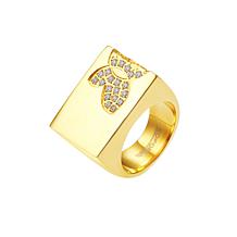 Stately Steel Butterfly CZ Signet Ring