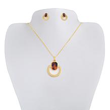 Stately Steel Half Circle Brown Acrylic Pendant and Earring Set