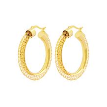 Stately Steel Hallow Mesh Hoop Earrings