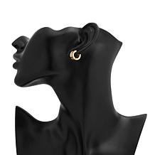 Stately Steel Mother-of-Pearl Huggie Hoop Earrings