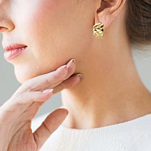 Stately Steel Open-Braided Hoop Earrings