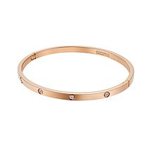 Stately Steel Stainless Steel CZ Bangle Bracelet