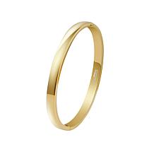 Stately Steel Stainless Steel Round Squared Hinged Bangle Bracelet 