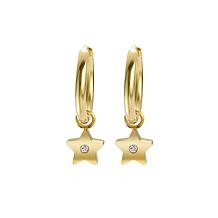 Stately Steel Stainless Steel Star CZ Dangle Earrings