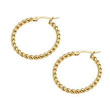 Stately Steel Stainless Steel Twist Hoop Earrings