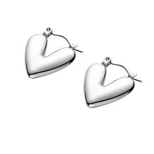 Stately Steel Stainless Steel V Shape Earrings